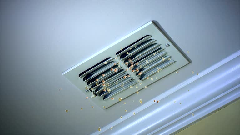 Best HVAC System Cleaning  in Williamsport, MD
