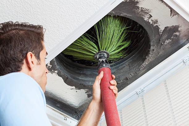 Best Emergency Air Duct Cleaning  in Williamsport, MD